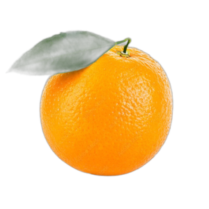 Fresh Orange